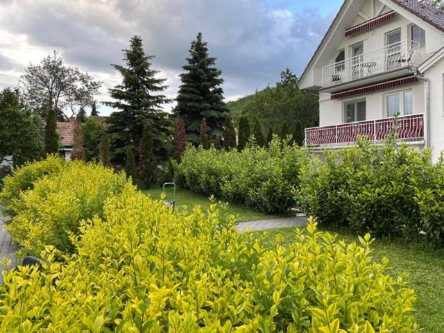 Villa Astoria Balatongyörök Exteriér fotografie